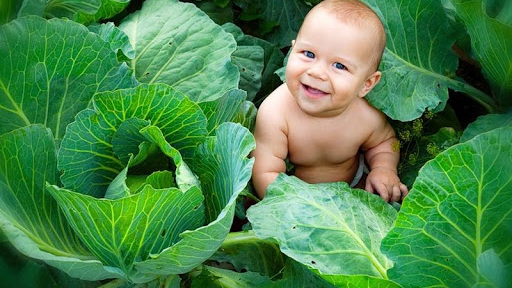 Щоб жити в мирі народжуються діти