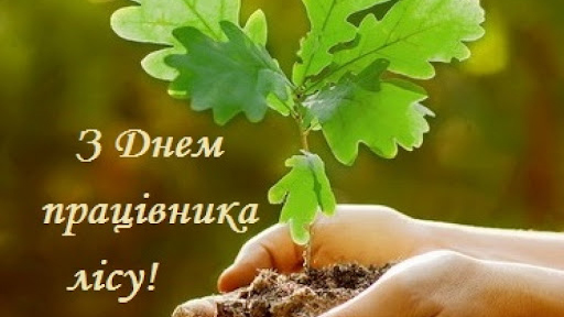 Вітаємо з Днем працівників лісу!