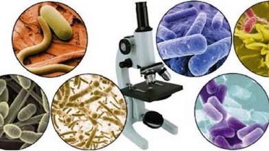 Інформує Лубенський підрозділ ДУ "«Полтавський обласний центр контролю та профілактики хвороб"