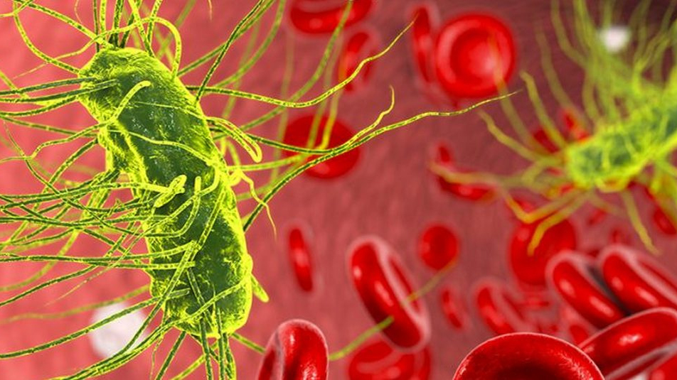 Інформує Лубенський підрозділ ДУ "«Полтавський обласний центр контролю та профілактики хвороб"