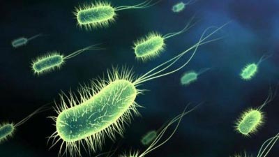 Інформує Лубенський підрозділ ДУ "«Полтавський обласний центр контролю та профілактики хвороб"