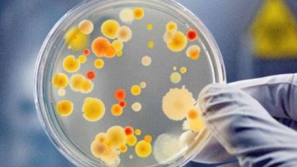 Інформує Лубенський підрозділ ДУ "«Полтавський обласний центр контролю та профілактики хвороб"