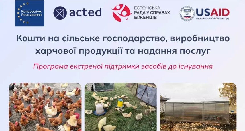 Підтримка сімей, які постраждали від збройного конфлікту та вразливих категорій населення