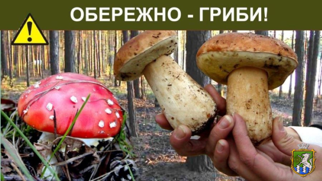 Будьте обережні з грибами!