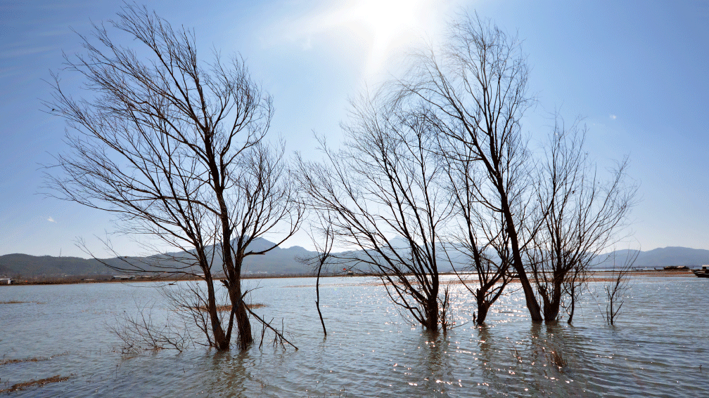 Дії громадян під час повені та паводків